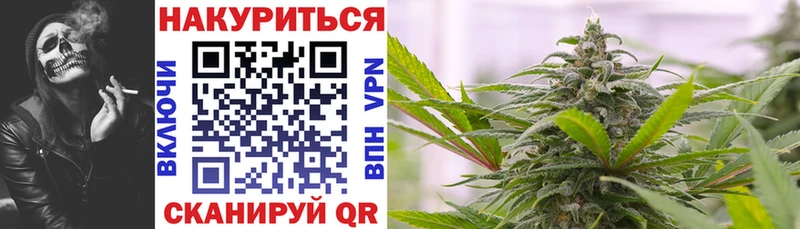 продажа наркотиков  Костомукша  мега ТОР  Канабис сатива 